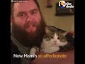 Sad Looking Cat Is So Happy To Be Part Of A Family | The Dodo