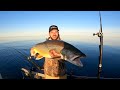 Coho Fishing on Lake Michigan Nonstop Action -- May 2024