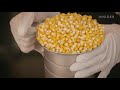 How Popcorn Is Made | Regional Eats