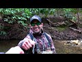 Blue Ridge, GA public water hike-in spot and we found some giants! Sight fishing in gin clear water!