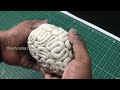 brain model - model of brain - how to make brain model - human brain model - diyas funplay - diy
