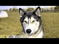 Confusing my Husky by Seeing in Dog Vision!