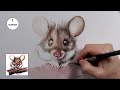 How to Draw Fur for Coloured Pencil Artists