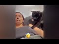 You Laugh You Lose😹Funniest Dogs and Cats 2024😻🐶