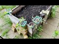 Vegetable Gardening and Making a DIY Potting Station