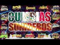 ⚡SUPER CUMBIAS SONIDERAS 2024 MIX😎TEMA LIMPIO🎶GRUPO QUINTANNA,GUZENS,TEPOZ,SONIDO FAMOSO Y MÁS