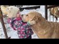When a dog's love shapes a little heart
