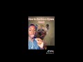 How to Survive Any Animal Attack (Mndiaye_97 Compilations) Original