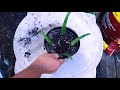 DIY | How To Grow Aloe Vera| Propagate Aloe Vera