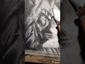 Hyper realistic drawing of a lion!