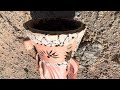 Virgin Mary Beehive, Compost Bin, Cluster of Laying Workers +++ VLOG #beeremoval