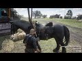 Red Dead Redemption 2 Fx8350 + Asus Rog RTX 2060 super 8GB ultra/high 1440p settings benchmark