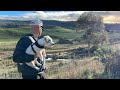 Ghost Train - Lost Ruins of Apsley Railway