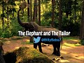 The Elephant and The Tailor [kids bedtime story]