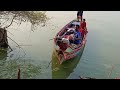 Fishermen setting On the tree| in river |wow catching big Rohu fishes in river