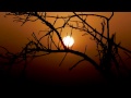Tangerine Dream - Valley Of The Sun