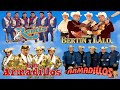 Dueto Los Armadillos, Los Remis, Los Armadillos De La Sierra, Dueto Bertin y Lalo Sus Exitos Mix