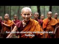 ACTING AS IF NOTHING BOTHERS YOU | Zen Wisdom (Buddhism)