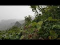 Rain Sounds For Sleeping,The sound of rain is an effective way to relax after a busy day. ASMR
