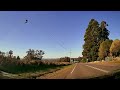 4K Scenery  A glimpse of road scene of Emerald Lake Park, Mel,VIC   路边的景色2521