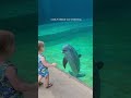 Dolphin stops to 'talk' to toddler at Mississippi Aquarium