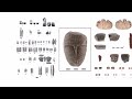 Nahal Ein Gev ~ 12,000 Y.O. Natufian Plaster Burials & Ancient Site Of Hippos