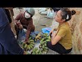 140 Days: 25 Weeks Pregnant Banana Harvest, Squash, Pineapple, Pickled Bamboo Shoots - Lý Thị Nhâm