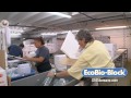 Segrest Farms in Tampa with hundreds of thousands of fish