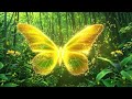 999Hz-  Magical Butterfly Effect | If This Video Appears, You Are Ready For The Better Life