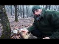 Bushcraft overnight in the Vermont woods. (With the Aquaquest Pharaoh bivy bag)