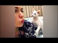Funniest Dogs and Cats ❤️😂 Funniest Catss 2024 😂😘