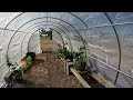 Setting Up the Quictent Greenhouse