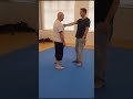 Wing Chun Stance Test