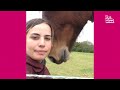 Funniest Horses 🤣 | BEST Compilation of 2023