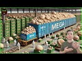 How Mushrooms are Grown & Processed | Processing Millions of Mushrooms Mega Factory | Food Factory