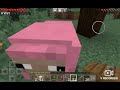 subscribe because i found pink sheep