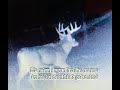 These are some BIG BUCKS!  (Trail cam pics) in the last 3 days!
