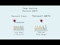 Sanger DNA Sequencing, From Then to Now.