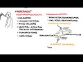 Understanding COPD - Chronic obstructive pulmonary disease cause, pathophysiology and treatment