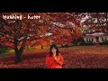 🍁🎃☕️🍂 autumn shoegaze/dreampop mixtape