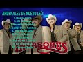 Cardenales De Nuevo León-Hits that captivated the world-Elite Chart-Toppers Playlist-Compelling