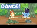 ☀️Bluey Summer Freeze Dance🕺Brain Break for kids🍉 Just Dance! Danny Go Noodle inspired