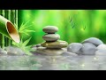 Music to Relax the Mind + Yoga, Sleeping Music for Meditation, Relaxing Sleep Music, Zen, Bamboo