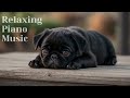 Relaxing Piano Music ｜ Sleeping and Focus