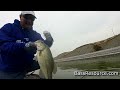 3 Essential Baits for Beginning Bass Fishing (How To Fish) | Bass Fishing