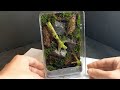 UNIQUE Terrarium | Jumping spider enclosure Build