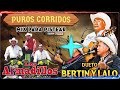 Puros Corridos Mix ♦ Los Armadillos de la Sierra vs Dueto Bertin Y Lalo ♦ Rancheriando Con Guitarras