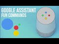 Fun Google Assistant Commands You Need to Try!