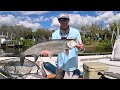 EPIC ALL DAY Multi-Species Fishing & Catch n Cook OTW! Snook, Tarpon, Grouper, Redfish and More!!