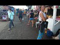 Unveiling the Seafood Capital of the Philippines: ROXAS CITY PUBLIC MARKET and  Bountiful Offerings